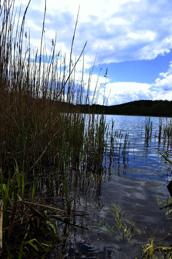 Domek Nad Jeziorem, A Morze W Gratisie Wiselka Luaran gambar